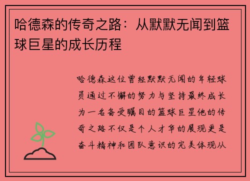 哈德森的传奇之路：从默默无闻到篮球巨星的成长历程